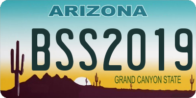 AZ license plate BSS2019