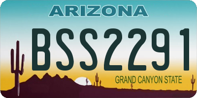 AZ license plate BSS2291