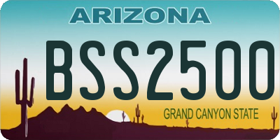 AZ license plate BSS2500