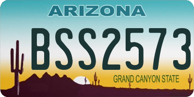 AZ license plate BSS2573