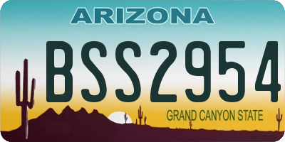 AZ license plate BSS2954