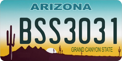 AZ license plate BSS3031