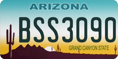 AZ license plate BSS3090