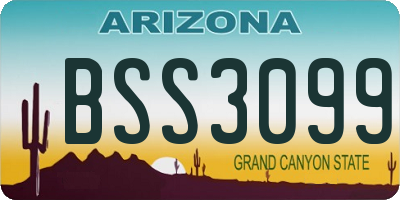 AZ license plate BSS3099