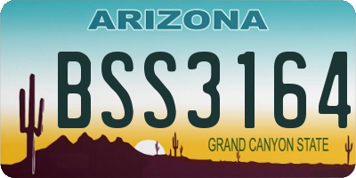 AZ license plate BSS3164