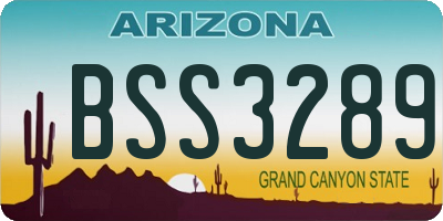 AZ license plate BSS3289