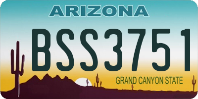 AZ license plate BSS3751