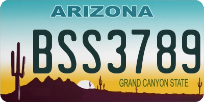 AZ license plate BSS3789