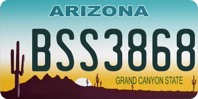 AZ license plate BSS3868