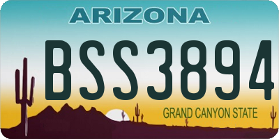 AZ license plate BSS3894