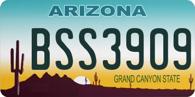 AZ license plate BSS3909