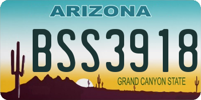 AZ license plate BSS3918