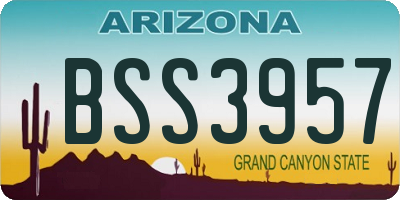 AZ license plate BSS3957