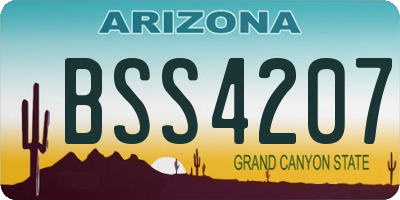 AZ license plate BSS4207