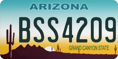 AZ license plate BSS4209