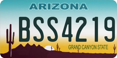 AZ license plate BSS4219