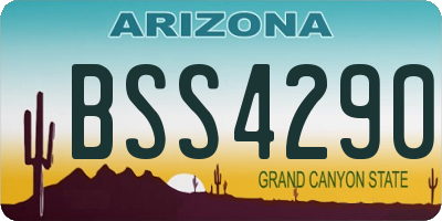 AZ license plate BSS4290