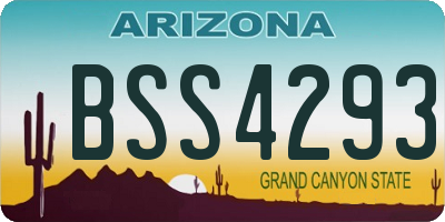 AZ license plate BSS4293