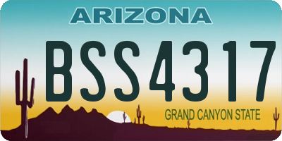 AZ license plate BSS4317