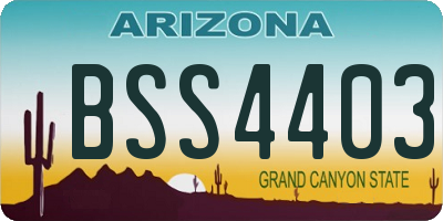 AZ license plate BSS4403