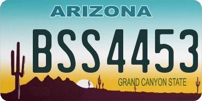 AZ license plate BSS4453