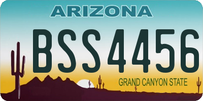 AZ license plate BSS4456