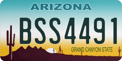 AZ license plate BSS4491