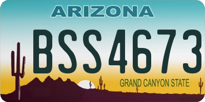 AZ license plate BSS4673