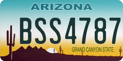 AZ license plate BSS4787