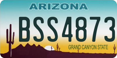AZ license plate BSS4873