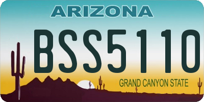 AZ license plate BSS5110
