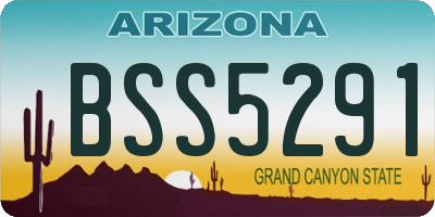 AZ license plate BSS5291