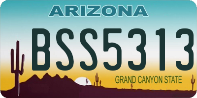AZ license plate BSS5313