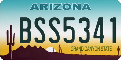AZ license plate BSS5341