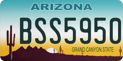AZ license plate BSS5950