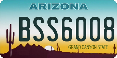 AZ license plate BSS6008