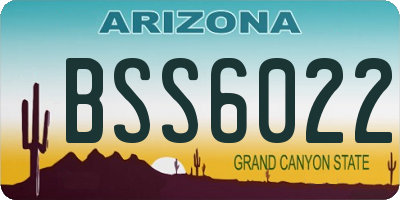 AZ license plate BSS6022