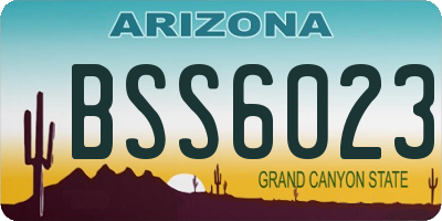 AZ license plate BSS6023