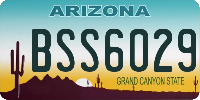 AZ license plate BSS6029