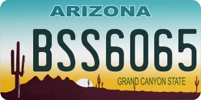 AZ license plate BSS6065