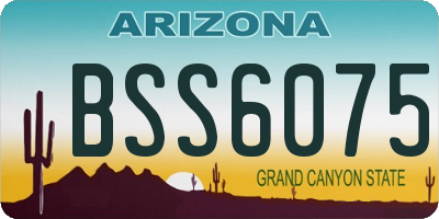 AZ license plate BSS6075