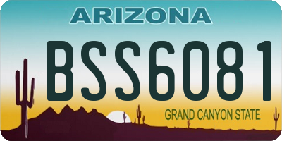 AZ license plate BSS6081
