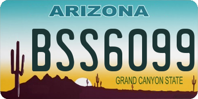 AZ license plate BSS6099