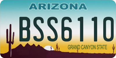 AZ license plate BSS6110