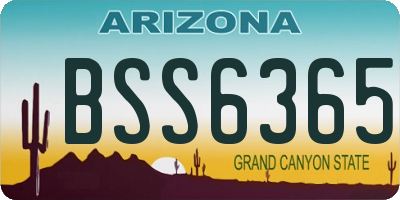 AZ license plate BSS6365