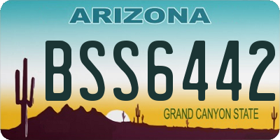 AZ license plate BSS6442