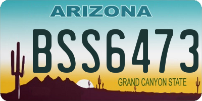 AZ license plate BSS6473