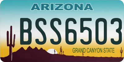 AZ license plate BSS6503