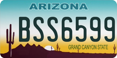 AZ license plate BSS6599