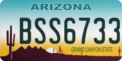 AZ license plate BSS6733